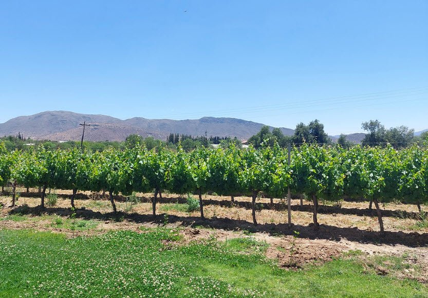 Tarija Wine Route, Tarija Department, Bolivia